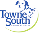 Link to Homepage of Towne South Animal Hospital